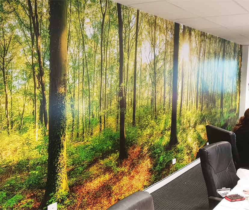 wall-mural-office-signage-ecruising--sydney